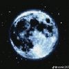 user480100681448