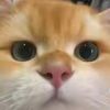 rifkyyxr