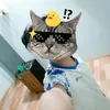 van.thang8871