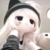 azalea_n_r