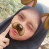 dini.setia.f