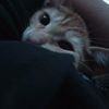 andree5137
