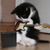 guitarrzwn
