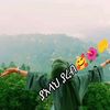user1435730371353