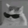 sp_xwz