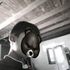 dekbannok_09
