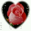 djmeck79