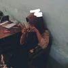 ndinn_yyaa12