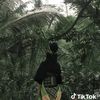 zahra.wonosido