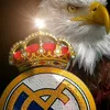 user4173533813973
