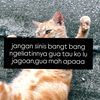 punyayaaaa1