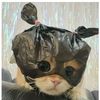 _ker4z9imut_