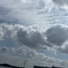 .rxmel_20