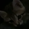 nastiizz7