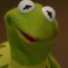 kermitthefrog132