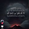 user9033706156335