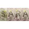 sara.chahine5