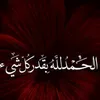 ali.alshmery2