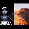 clementineabsolutecinema