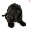 user1307653615990