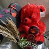 fadia.najjar89