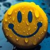 ghulamabbas25884