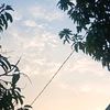 shafaramadan_