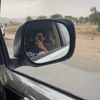 hussam7662