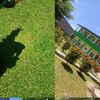 nay03144