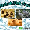 berkah_fish_fram