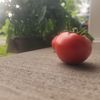 rippentomato
