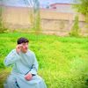 shikib82