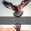 .masab60