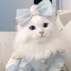 user2761876108801