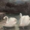 roode489