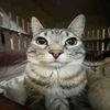 antonio026916