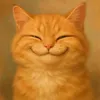 troaidepluottoptop