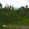 Jauh