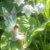 fairy_lia74