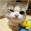 steffigracelawas