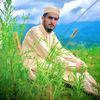 shahammar825