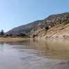 meddah554