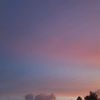 clarr_142