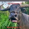 johanhan11111