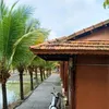 huynhvu947