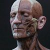 midcutstudio1