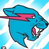 mr beast