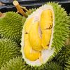 sitisurawan
