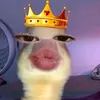 tmy2132