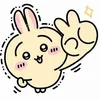 usagi0384
